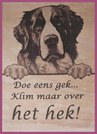 Sint Bernard € 14,99