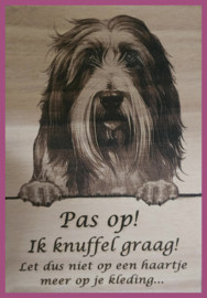 Bearded collie 01 € 14,99