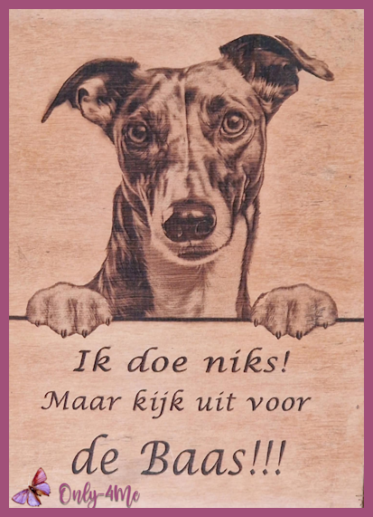 Greyhound 14,99