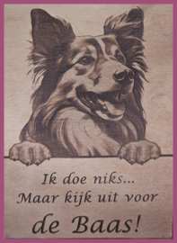 Shelty € 14,99
