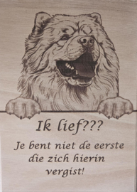 Chow chow € 14,99