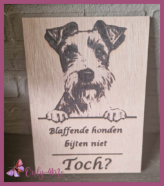 Fox terrier € 14,99