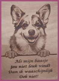 Corgi 01 € 14,99