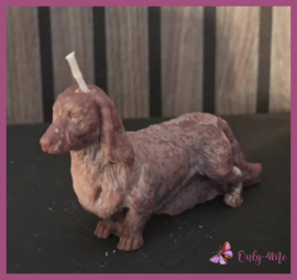 Kaars " Teckel " € 5,99