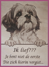 Shih tzu € 14,99
