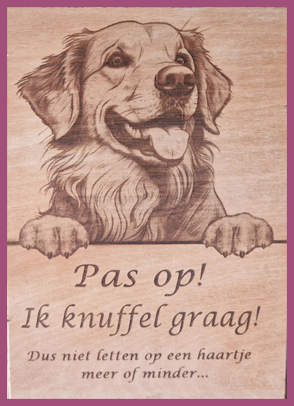 Golden Retriever € 14,99