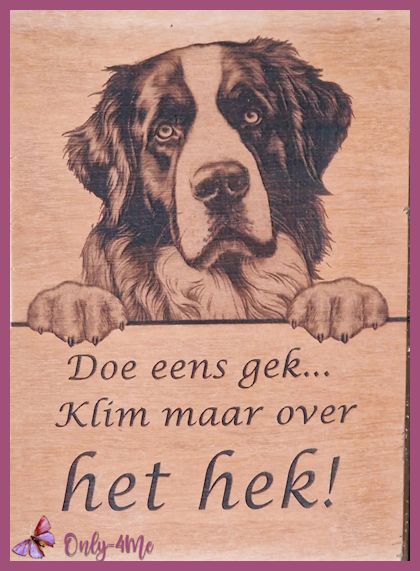 Sint Bernard € 14,99