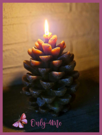 Dennenappelkaars € 12,99