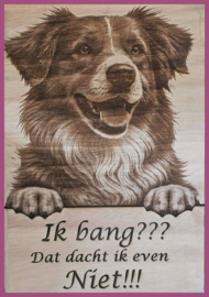 Duck Tolling Retriever 01 € 14,99