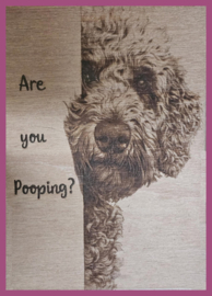 Wc bord Labradoodle € 9,99