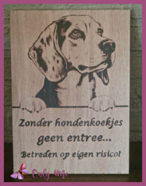 Beagle 14,99