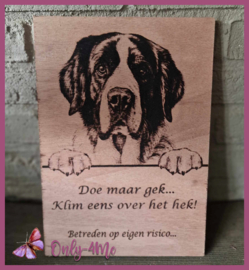 Sint Bernard € 14,99