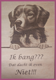 Duck Tolling Retriever € 14,99