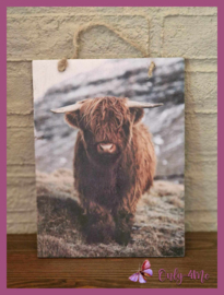 Houten schilderij Schotse hooglander 04 € 5,99