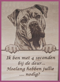 Cane Corso € 14,99