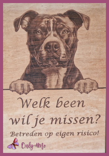 Pitbull € 14,99