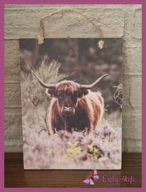 Houten schilderij Schotse hooglander 02 € 5,99