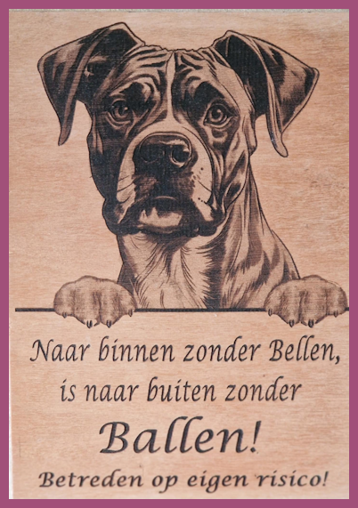Boxer € 14,99