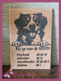Berner Senner € 14,99