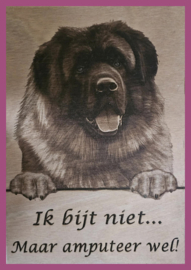Kaukasische Owcharka € 14,99