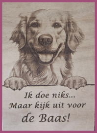 Golden Retriever 01 € 14,99