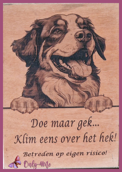 Berner Senner 01 € 14,99