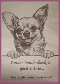 Chihuahua langharig € 14,99