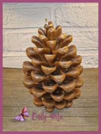 Dennenappelkaars € 12,99