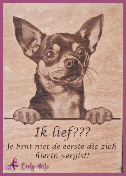 Chihuahua01 14,99