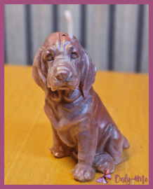 Kaars "Labrador" € 4,99