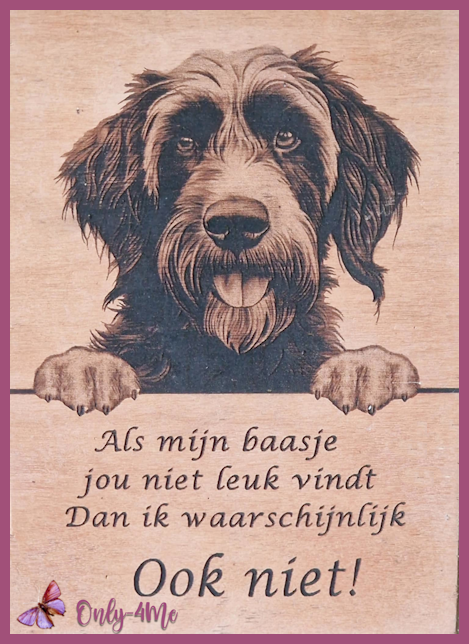 Ruwharige Pointer 14,99