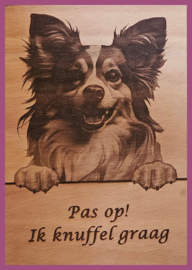 Vlinderhondje 01 € 14,99