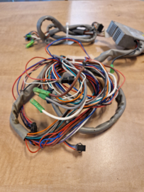 Controller Ananda 24V