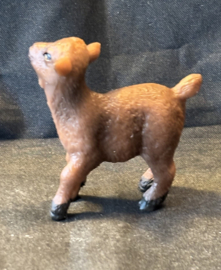 Lammetje bruin