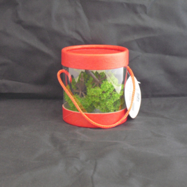 Groene loofbomen, 3 stuks