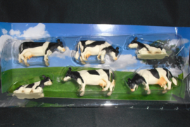 Koeien, 6 stuks