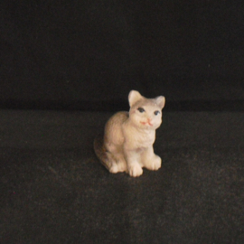 Grijze witte kat
