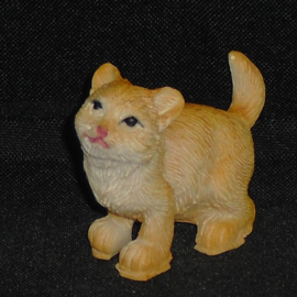 Oranje kat met strepen