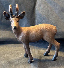 Stag, mannetjes hert