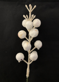 Bevroren tak met glitters, bolletjes