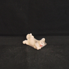 Slapende kat