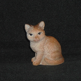 Bruine kat
