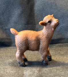 Lammetje bruin
