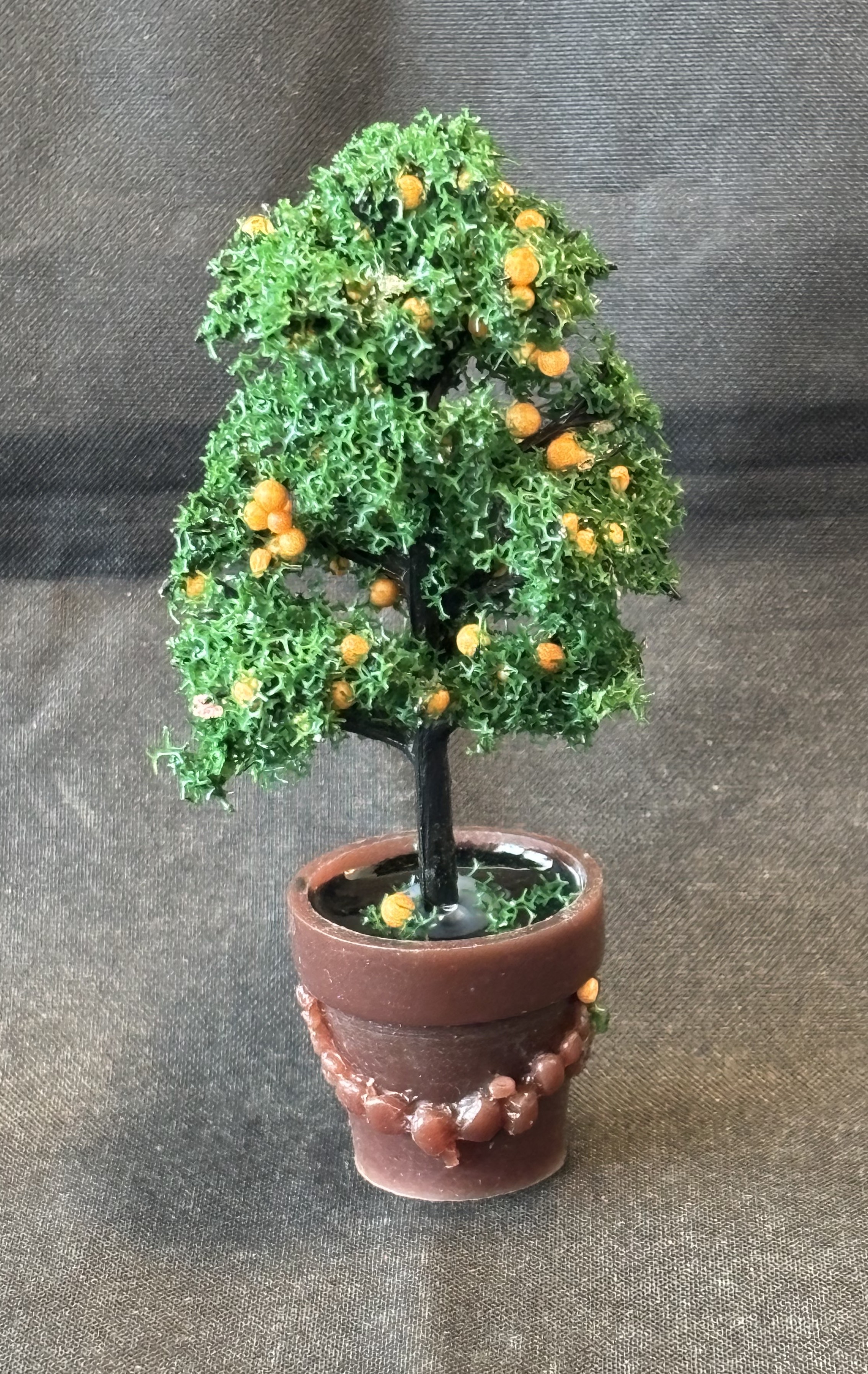 Fruitboompje sinasappel