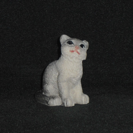 Grijze witte kat