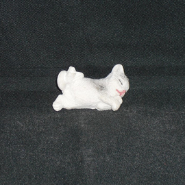 Slapende kat