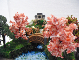 Hanamie seizoen Sakura, Japan