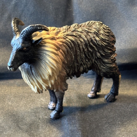 Wilde bok