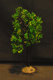 Alder tree, 94538