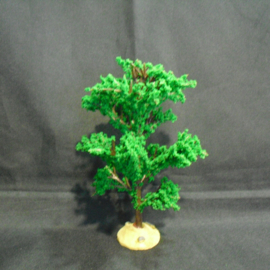 Green elm tree, 94541